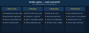 gratis spins buitenland infograph